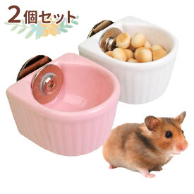楽天市場 うさぎ エサ入れの通販