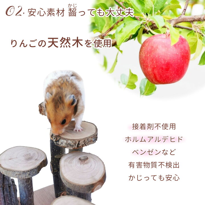 楽天市場 ハムスター おもちゃ 遊び道具 かじり木 リス アスレチック 木製 インコ トンネル 餌入れ 木 小動物 ハウス 家 内装 セット いいひ 楽天市場店