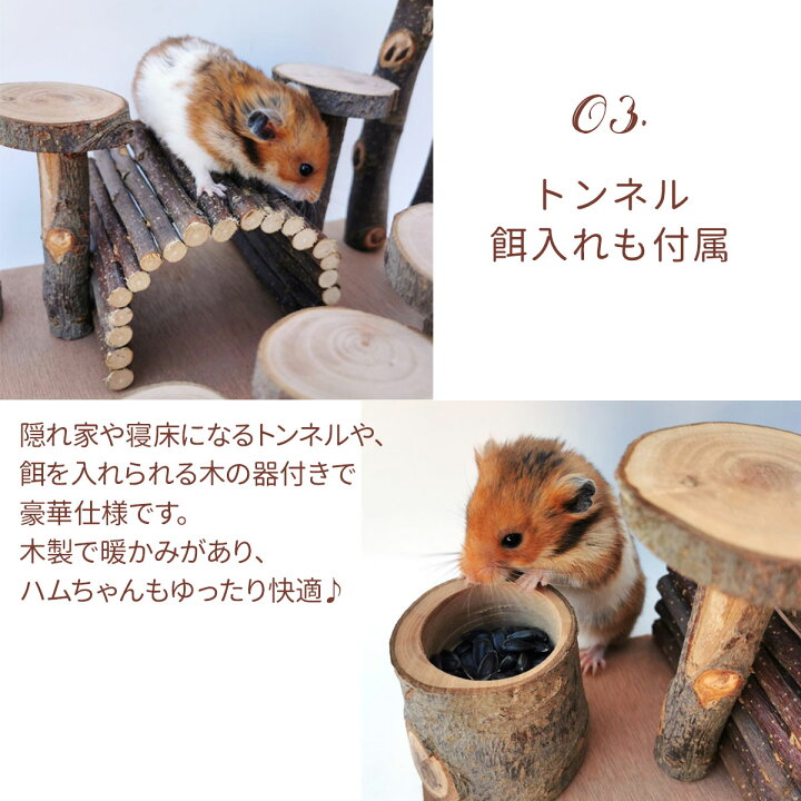 楽天市場 ハムスター おもちゃ 遊び道具 かじり木 リス アスレチック 木製 インコ トンネル 餌入れ 木 小動物 ハウス 家 内装 セット いいひ 楽天市場店