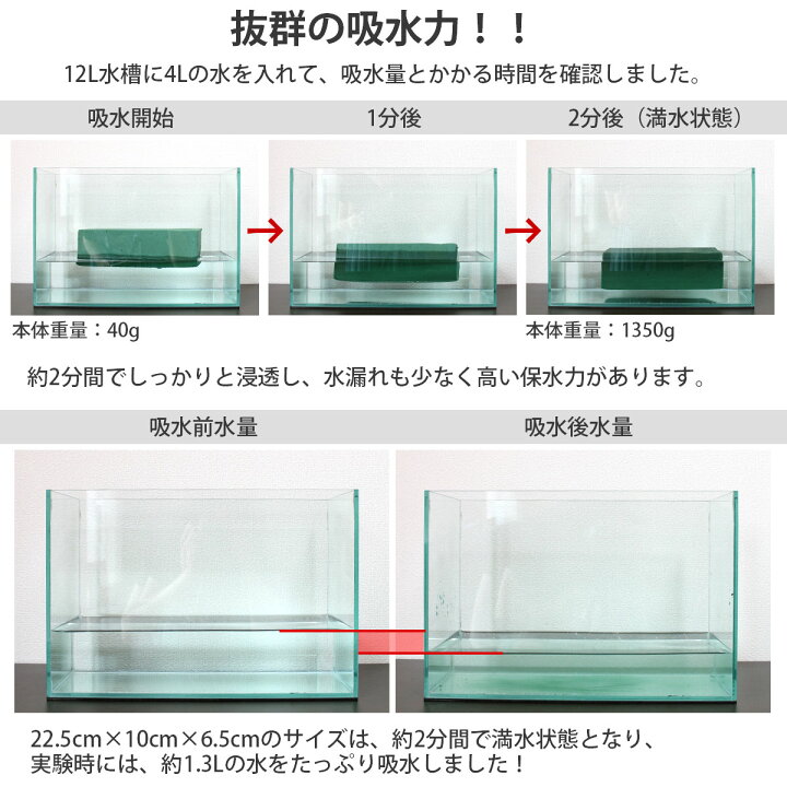 楽天市場 高品質10個セット フローラルフォーム ドライ セット 花 生け花 オアシス 生花用 フラワーアレンジメント 吸水 スポンジ いいひ 楽天市場店