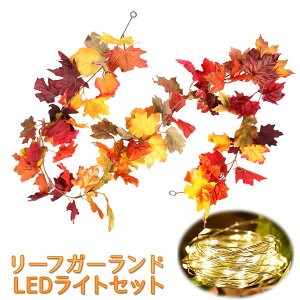 yX[p[Z[聚P+7{zyLEDCgZbgznEB  K[h gt c[ [X  Halloween     i`  ݂艺 [v ԗ NX}X I[