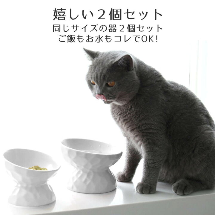 楽天市場 2個セット 猫 犬 食器 食べやすい 猫用 フード ボウル 陶器 高さ ネコ 食器台 エサ入れ 斜め ねこ 餌 皿 餌入れ 台 いいひ 楽天市場店