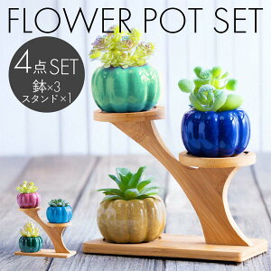 y X^ht z Aؔ   v^[ A  Aؔ  ϗtA  픫 1 2 T{e A ^  񂹐A