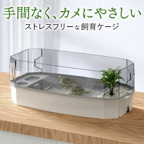 楽天市場】爬虫類 アクリル 水槽の通販