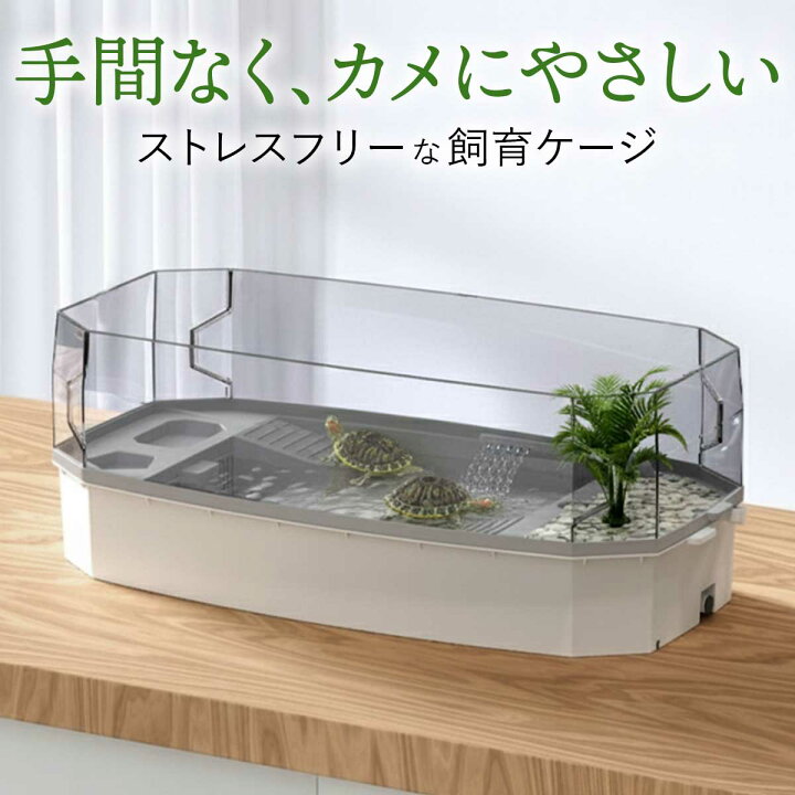 楽天市場】両生類 ケージ お掃除しやすい 爬虫類 飼育ケース アクリル 