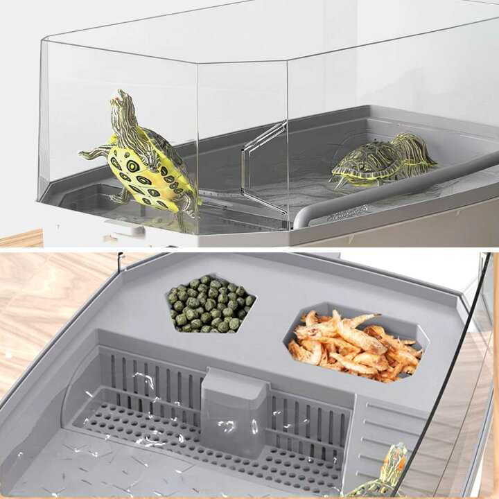 楽天市場】両生類 ケージ お掃除しやすい 爬虫類 飼育ケース アクリル 