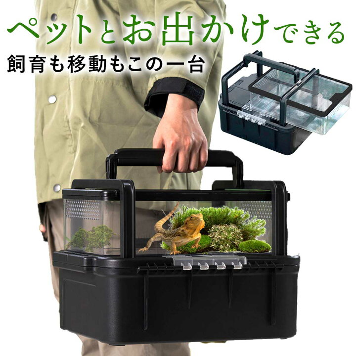 楽天市場】【持ち運び可能】爬虫類ケージ 持ち運び 爬虫類 ケージ 飼育 