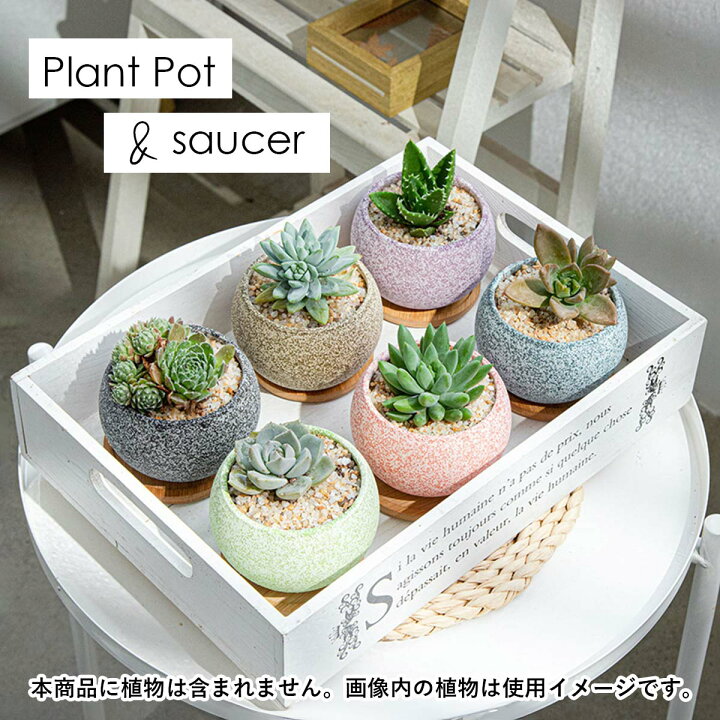 楽天市場】【マラソン P+5倍】【 6点セット 】 植木鉢 おしゃれ 