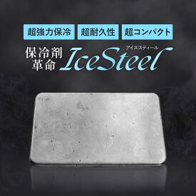 【超強力保冷】保冷剤 ステンレス 長時間 強力 冷却プレート ミニ アイスパック 保冷剤 最強 小さい 解けない 蓄冷剤 長時間強力 ステンレス保冷剤 軽い 軽量 キャンプ クーラーボックス 冷却 【IceSteel・国内正規品】