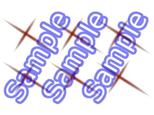 낤ɌS@ꑺS@RXvp^gD[V[