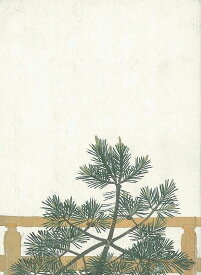 【バーゲンブック】能楽随想　亀堂閑話【中古】