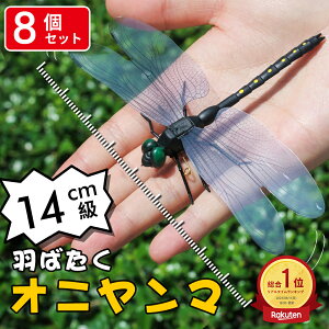 _X[p[SALE^u1_201~I8_wŁv _8ł̉iI^Ij}  14cm ɂ tBMA St A g{ 悯 ΍ Sst ނ Ro L