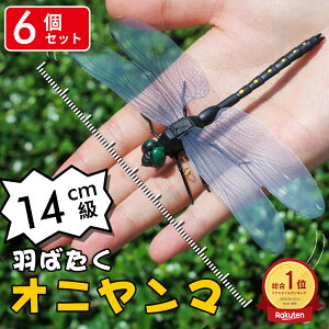 _X[p[SALE^ _6ł̉iI^Ij}  14cm ɂ tBMA St A g{ 悯 ΍ Sst ނ Ro Lbv O 悯͌^