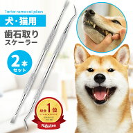【2点ご購入で10%OFF】歯石取り 器具 犬 ゼオライト 2点セット 40cc ペット用 犬用 犬 歯 黄ばみ 汚れ 歯…