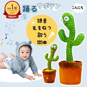 yP10{ՌSALEIzxT{e x ̂ T{e  _XT{e hT{e dq ʔ 킢 ʂ ΂ FB v[g q p̉̕t  ΂  x