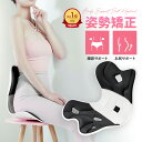 ＼★スーパーSALE超特価★／姿勢が良くなる 椅子 姿勢サポートチェア 姿勢矯正 骨盤痛み 矯正 立てる 姿勢 よくなる …