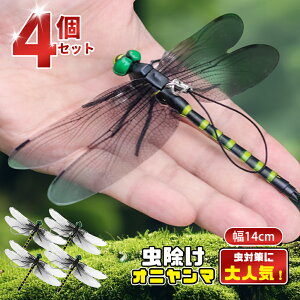 _X[p[SALE^[ǔ~121225~N[|g]Ij}  14cm ɂ tBMA St A g{ 悯 ΍ Sst ނ Ro Lbv O