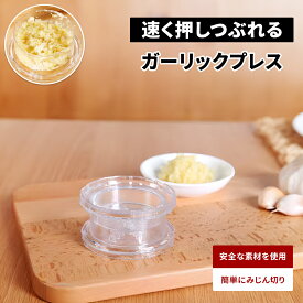 【10%OFFクーポン！】★赤字覚悟★ガーリックツイスト ガーリックプレス みじん切り器 にんにく おろし器 にんにくつぶし ナッツ しょうが スパイス ハーブ ごま 離乳食 介護職 幼児食 食洗機対応 使いやすい 手軽 簡単