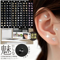 ＼2点ご購入で10%OFF！／耳つぼシール ジュエリー 耳つぼジュエリー チタン 星 金属アレルギー 耳つぼダ…