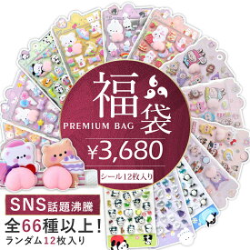 【8%OFF★全66種以上！立体シール福袋】シール 福袋 大量 立体シール 3dシール セット キャラクター 食べ物 3d立体シール クリスマス 透明 おしりシール かわいい おしりぷにぷにシール 可愛いシール ご褒美シール おしり かわいい おしゃれ シール 人気 デコレーション