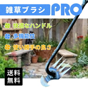 _X[p[SALE^XRbv GuV c[  u[h G Ԃ c[ V G nh G c[ ̑蓹 K