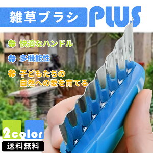 yILINEǉ5OFFzGuV c[  u[h G Ԃ c[ 2023 V G nh G c[ ̑蓹 K[fj