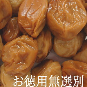 yIʁzyeʁz yƒpz IB썂~ ~ ݂͂ 500g Y 썂~ ~ ߂ڂ ~  ⋋