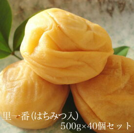 里一番（はちみつ入）500g　×　40個セット　【和歌山県産】 【10P03Aug09】