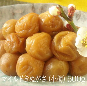 yzy}Chzyeʁz IB썂~ ~ 500g 6 ʂi~j a̎RY Y ~ ߂ڂ ~  ⋋