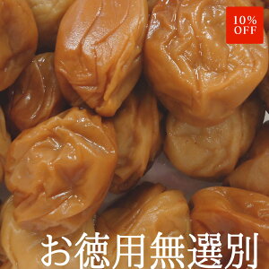 _X[p[Z[10OFF^yIʁzyeʁz yƒpz IB썂~ ~ ݂͂ 500g Y 썂~ ~ ߂ڂ ~  ⋋ 󂠂