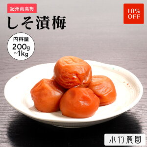 _X[p[Z[10OFF^yeʁz IB썂~ ~ Д~ 500g 8 a̎RY Y ~ ߂ڂ ~    ⋋