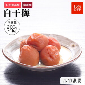 _X[p[Z[10OFF^yeʁz IB썂~ ~ ~ 500g 20 a̎RY Y Y ~ ߂ڂ ~  ⋋