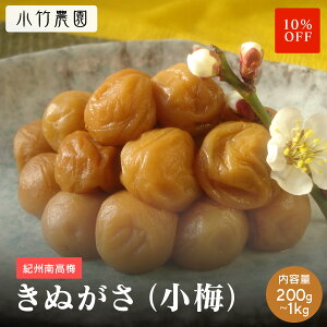 _X[p[Z[10OFF^yeʁz IB썂~ ~ 500g 8 ʂi~j a̎RY Y ~ ߂ڂ ~  ⋋