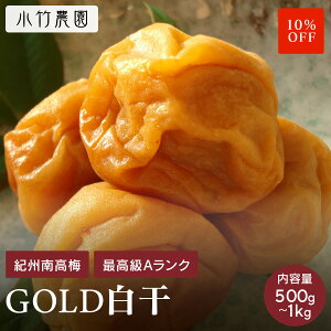 _X[p[Z[10OFF^yGOLDzyeʁz yMtgz IB썂~ ~ ~ 500g 18 a̎RY Y ~ ߂ڂ ~  v[g  ⋋