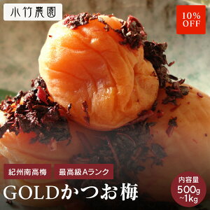 _X[p[Z[10OFF^yGOLDzyeʁz yMtgz IB썂~ ~ ~ 500g 8 a̎RY Y ~ ߂ڂ ~   v[g  ⋋