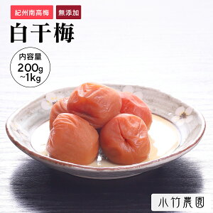 �y�_19��20�����P10�{�^���Ԍ���z�y��e�ʁz �I�B�썂�~ �~���� �����~ 500g ������20�� �a�̎R���Y ���Y ���Y�� �~�� ���߂ڂ� �~ �������� �����⋋