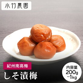 ＼9日20時よりP10倍／ 期間限定【大容量】 紀州南高梅 梅干し しそ漬梅 500g 塩分約8％ 和歌山県産 国産 梅干 うめぼし 梅 しそ漬 しそ 送料無料 塩分補給