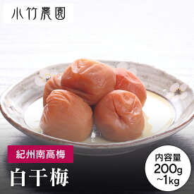 ＼9日20時よりP10倍／ 期間限定【大容量】 紀州南高梅 梅干し 白干梅 500g 塩分約20％ 和歌山県産 国産 無添加 梅干 うめぼし 梅 送料無料 塩分補給