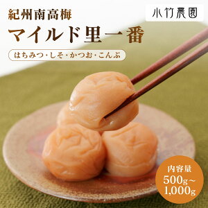 \24日20時よりポイント10倍/★4以上レビュー90%超 紀州南高梅 はちみつ梅 しそ漬梅 かつお梅 こんぶ梅 梅干し 500g 700g 1000g 塩分約5% 里一番(はちみつ入) 和歌山県産 国産 梅干 うめぼし 梅