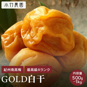 yGOLDzyeʁz yMtgz IB썂~ ~ ~ 500g 18 a̎RY Y ~ ߂ڂ ~  v[g  ⋋