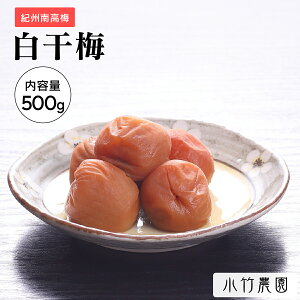_1920|Cg10{^yeʁz IB썂~ ~ ~ 500g 20 a̎RY Y Y ~ ߂ڂ ~  ⋋