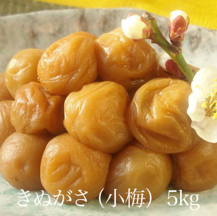 楽天市場】きぬがさ(小梅)5kg 【和歌山県産】 : 自家農園梅干『小竹農園』