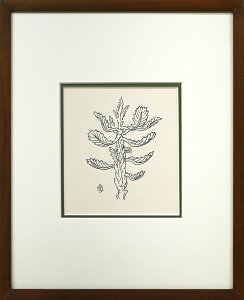 {@suvyi13.2×11.8cmjMTC@ZԒ@kRxOB@{n@|p@^ۏ