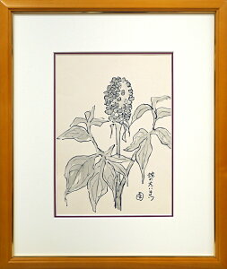 {@suւ̂܂vʉE3@ZԒ@kRxOB@{n̉̑@Dɔpف@|p@^ۏ