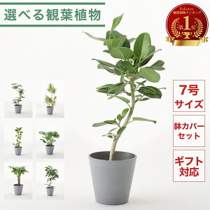 Iׂ ϗtA 7 ^ pL Go[tbV xKVX Ex[^ TXxA Xe   CeA JXj  Vzj AEj JƏj LO