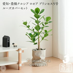 観葉植物 鉢 カバー 北欧の人気商品 通販 価格比較 価格 Com