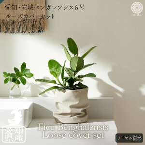 観葉植物 鉢 カバー 北欧の人気商品 通販 価格比較 価格 Com
