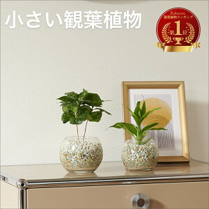 yő50OFFZ[JÒz ϗtA ~j nChJ`[ k͔| pL Xe TXxA |gX  y gȂ  킩Ȃ 킩Ȃ KX