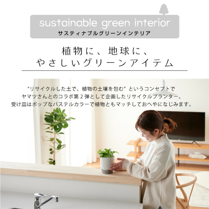 いろんな種類が勢ぞろい ミニ観葉植物各種 福井のフラワーショップ 開花園 50個38cmグリーン植物サポートスティック花のための花のステークスケーヌ Vladatk Gov Ba