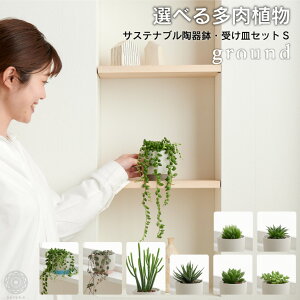 多肉植物 セット 観葉植物の人気商品 通販 価格比較 価格 Com